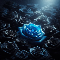 HARDX, TTM - Blue Rose