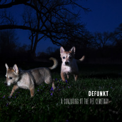 DEFUNKT