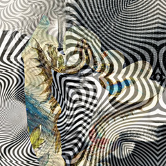 I$O Shapeshifter