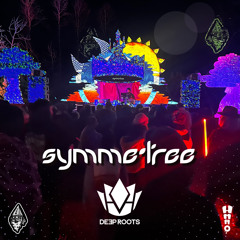symmetree @ deep roots 2024