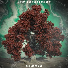 @SAMMIX - Low Experience