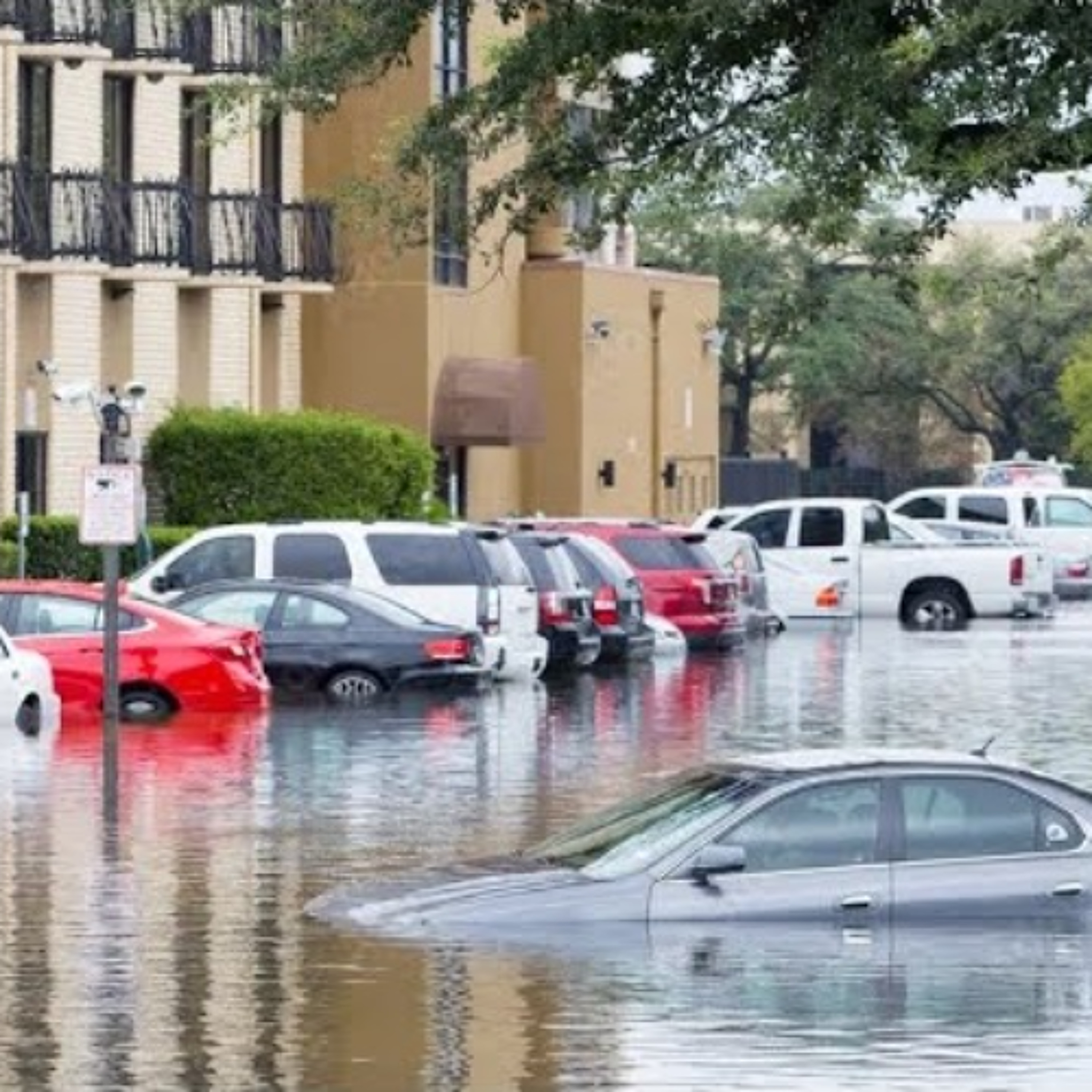 The Master\'s Voice Prophecy Blog