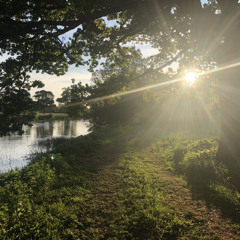 Love Will Keep Us Alive - 17/04/2020, 20.34