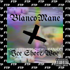 BlancoMane - Ice Shore Woe (Prod. Slim_Danny_D_Diamond)