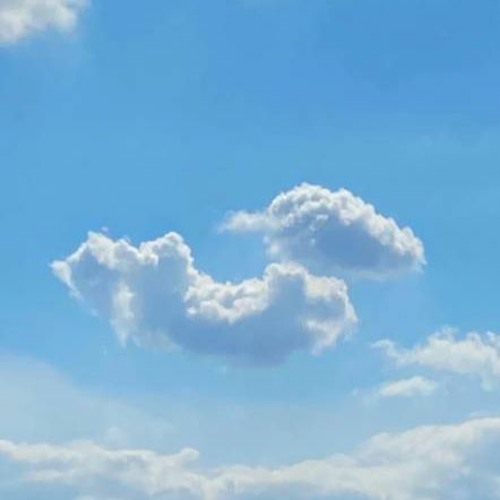 Bouncy Cloud