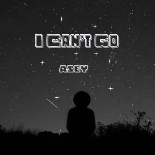 I Can't Go