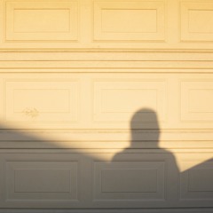 Radical Acceptance - Demo