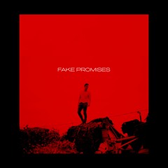 Fake Promises