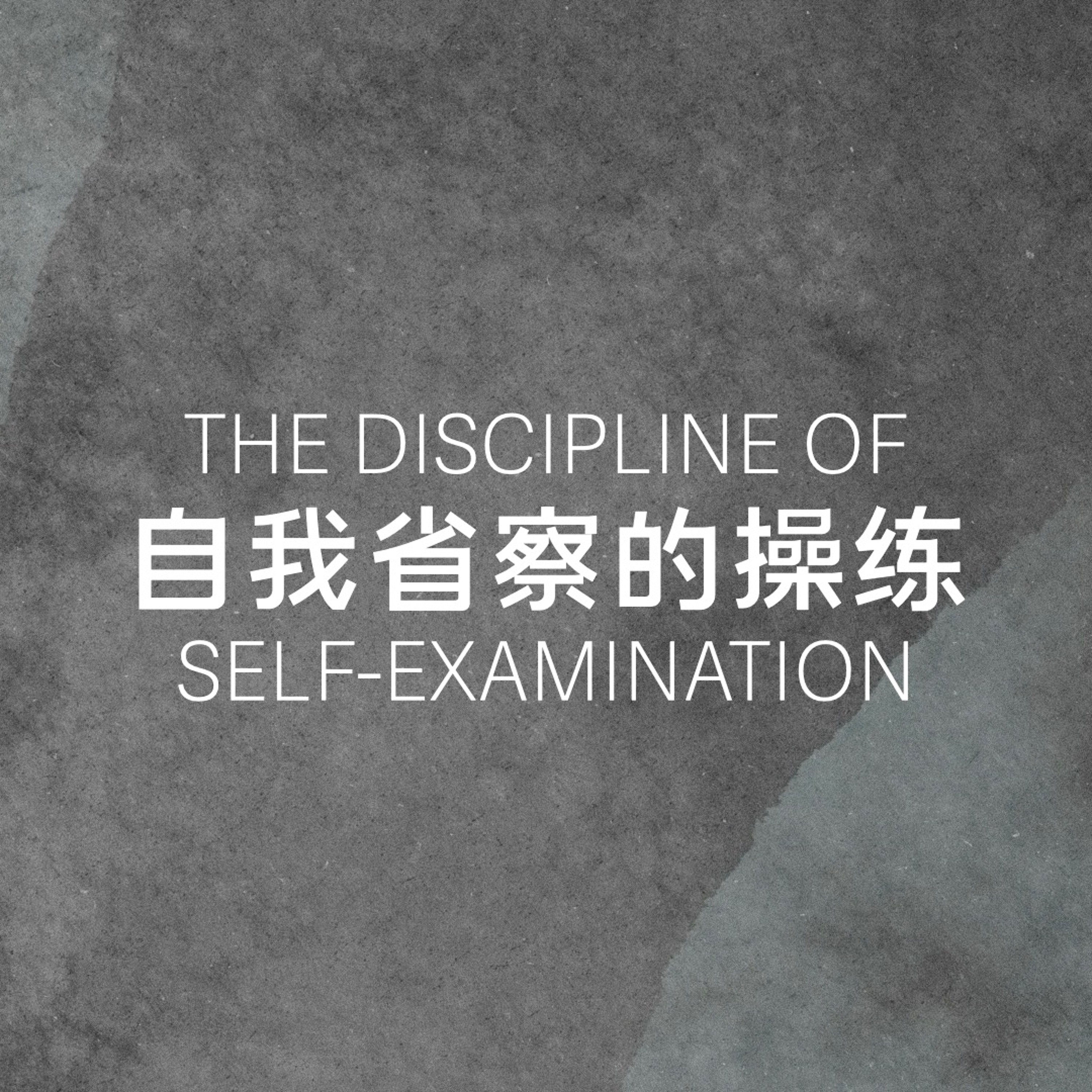 01/14/2024 【特别信息】自我省察的操练（启 2-3）—— Pastor Don episode artwork