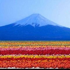 slimeturbo - Ceedars!