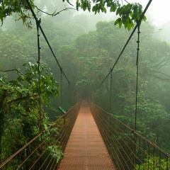 2Good Productions - The Jungle Took Him - Drum And Bass 2023