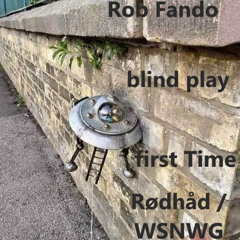 Rob Fando / Rødhåd - WSNWG Label Collection Play