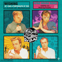Wishing (if I Had A Photograph Of You) - A Flock Of Seagulls (Afro House Remix By DJ ELAZ) [Free DL]