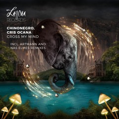 Chinonegro - Cross My Mind (Nas Elmes Remix)