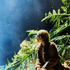 WOLFSLIED - Ronja Räubertochter