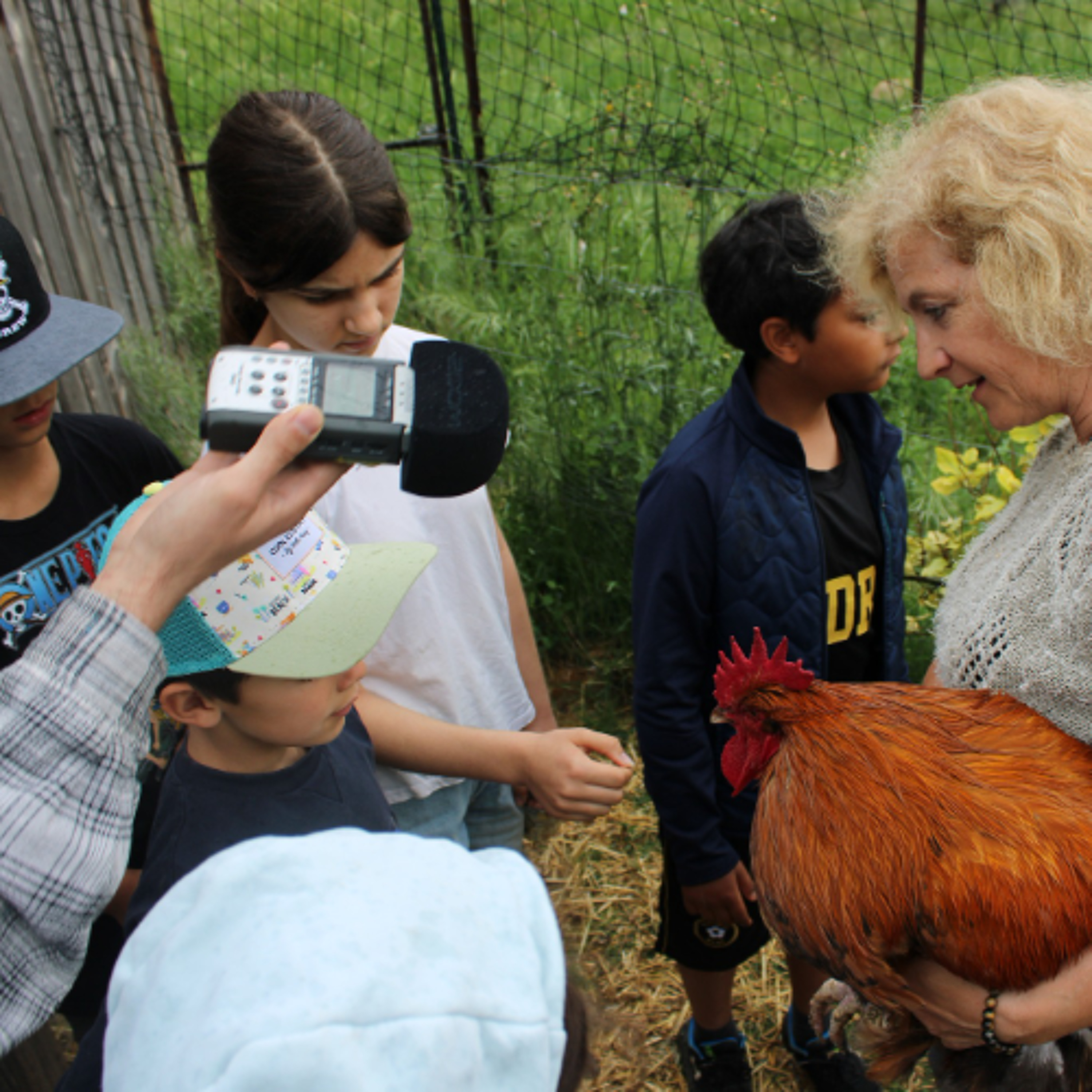 Reportage à la Ferme pédagogique du Domaine de Christin à Sommières episode artwork
