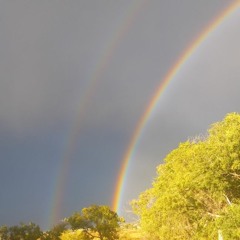 Double Rainbow (drums only)