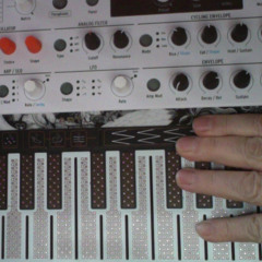 1619 Variations MIDI et Modales dans un Univers Gris 26 février 2025 Master