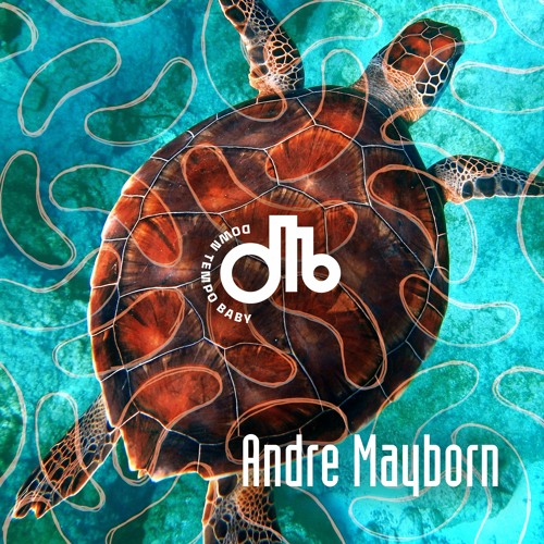 Andre Mayborn / downtempo, baby! / #25