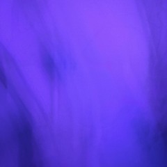 MIXIN TRUEZ WITH THE NEW ROCKZ