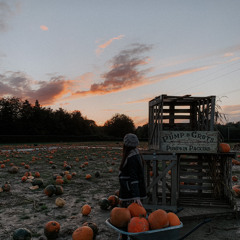 Haunted House - Holly Humberstone cover