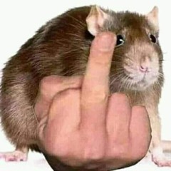 fuck outta here!¡!¡