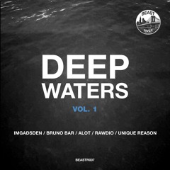 HOUSEPEDIA PREMIERE: Bruno Bar - Sometimes [Beast River Records]