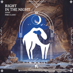 Right in the Night (Original Mix)