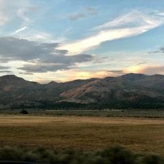 Brit Omit Still Split