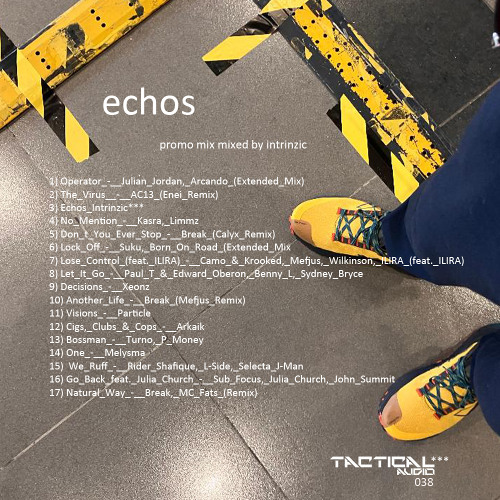 Echos_promo_mixTA_038_Mixed_by_Intrinzic