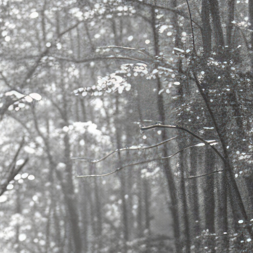 Echos of Magma Idref