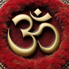 JoJoH b2b Shmurl - Treibhaus, 26.08.2024