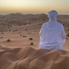 الهجن - سلطان العذبه 2024 👏🏼🔥
