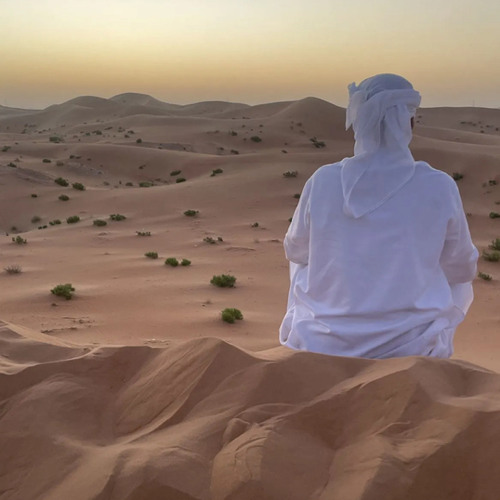الهجن - سلطان العذبه 2024 👏🏼🔥