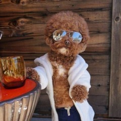 Get Down Tonight - Swerv.WAV