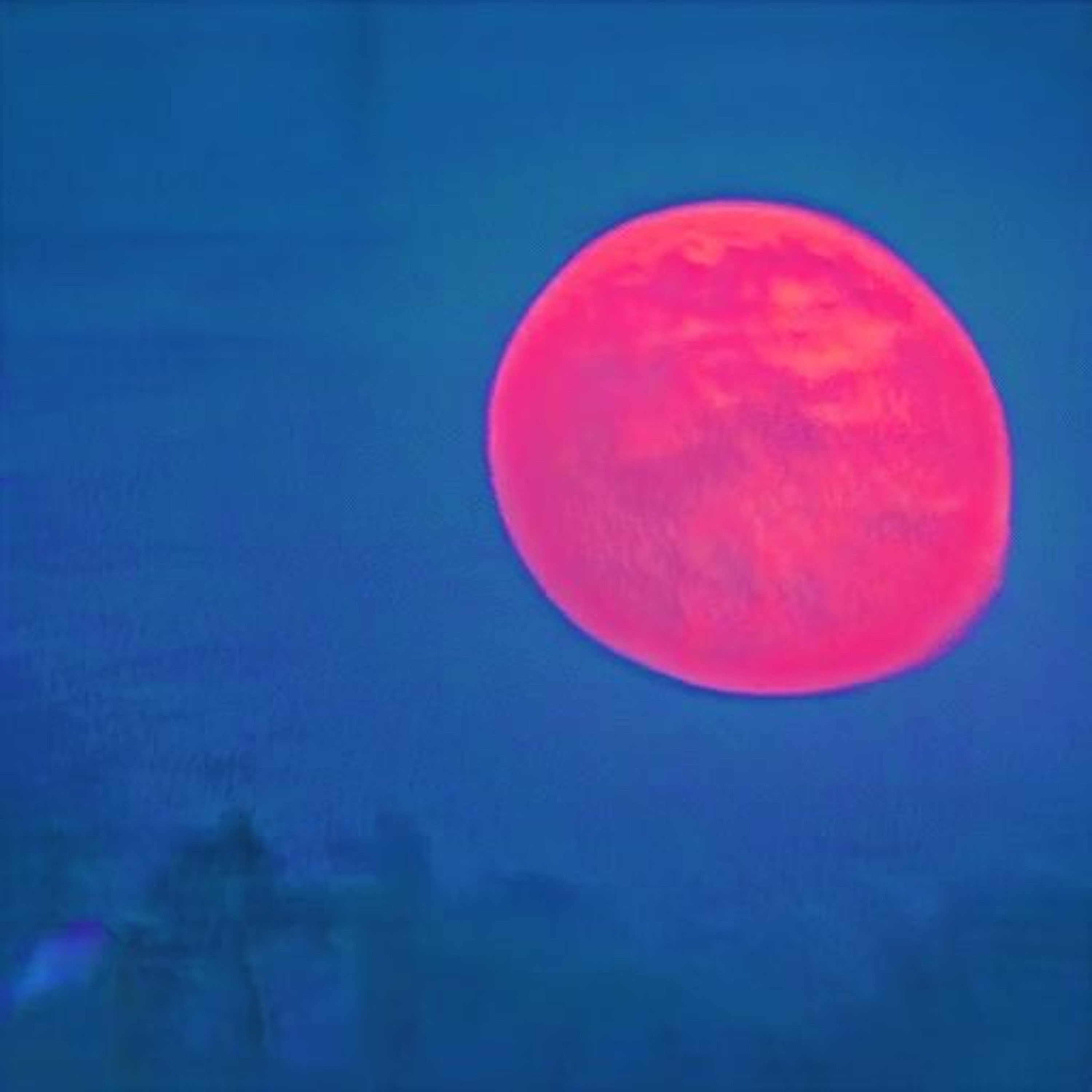 Vicky Clarke | SONAMB