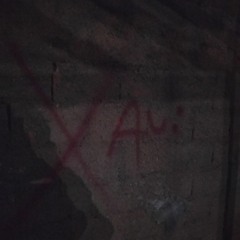 sempreprafrente, xav - vol 1.