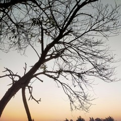 ملوش اسم
