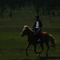 Saturday Morning Sunshine