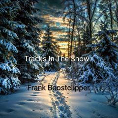 Tracks In The Snow