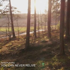 You Can Never Relive (feat. Peter Rönnberg)