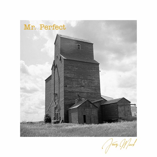 Mr. Perfect (feat. Kev Zed)