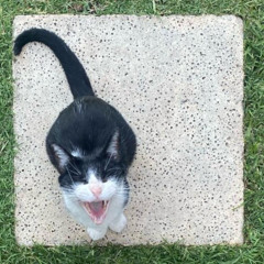 Un lugar (prod. irbo)