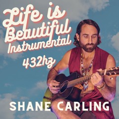 Life Is Beautiful Instrumental 432 HZ - Shane Carling