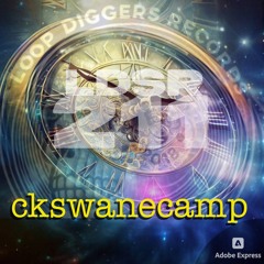 LDSR 2ii - ckswanecamp