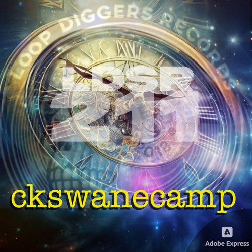 LDSR 2ii - ckswanecamp