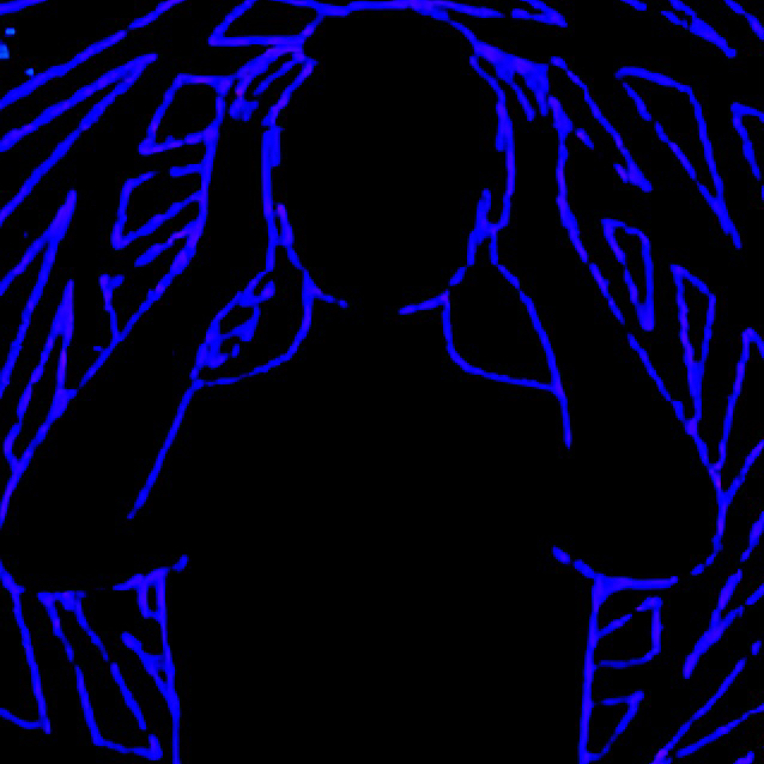 Backwards in My Head episode artwork