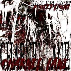 CHARNEL LANE