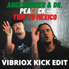 Angernoizer & Dr. Peacock - Trip To Mexico (Vibriox Kick Edit)