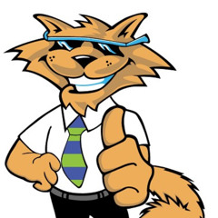 Mr. Bagdahoes